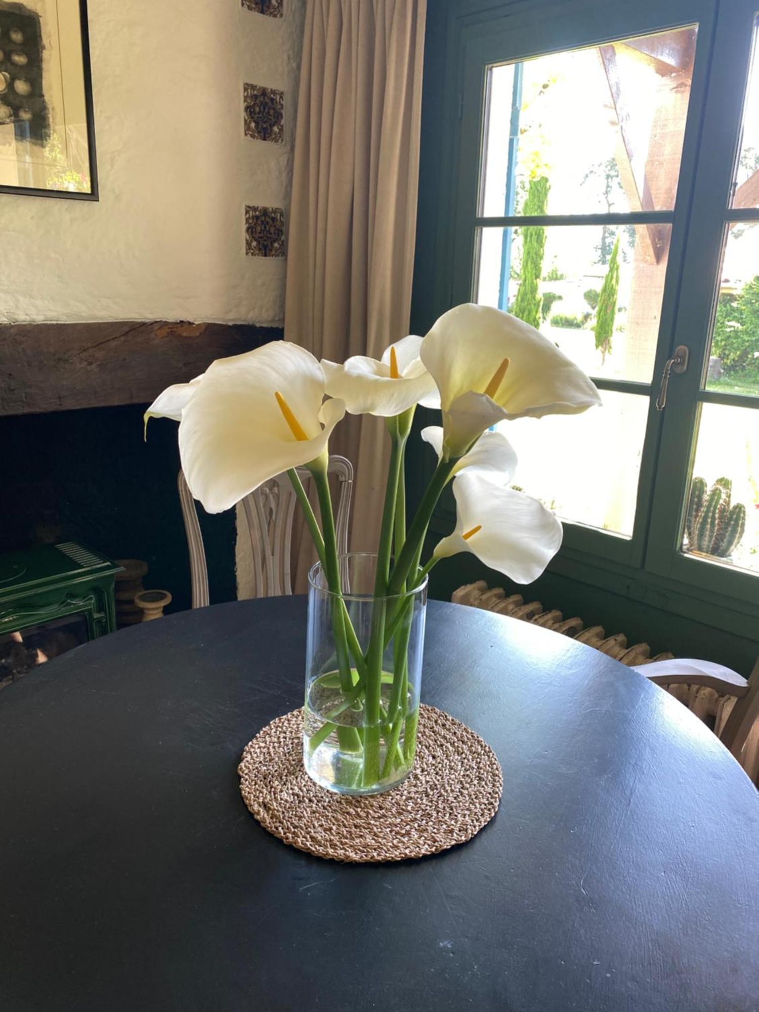Domaine Du Tafiart Bed & Breakfast Sarron Ngoại thất bức ảnh